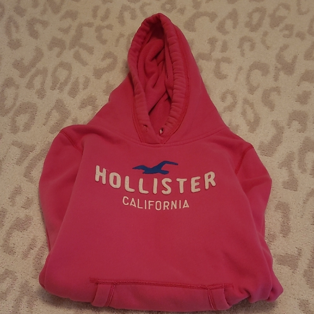 Hollister Vibrant Pink Pullover Hoodie